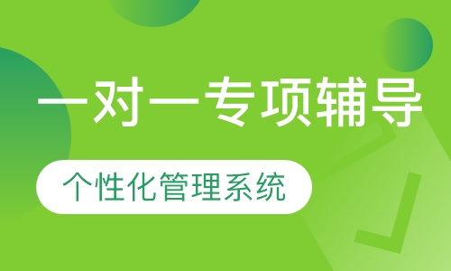 一对一专项辅导