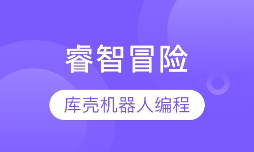 睿智冒险