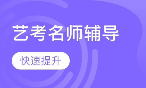 贵阳艺考高三名师辅导文化课补差