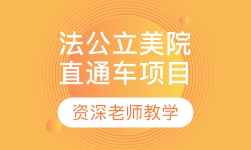 法国公立美院直通车项目