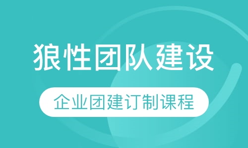 狼性团队建设|企业团建订制课程