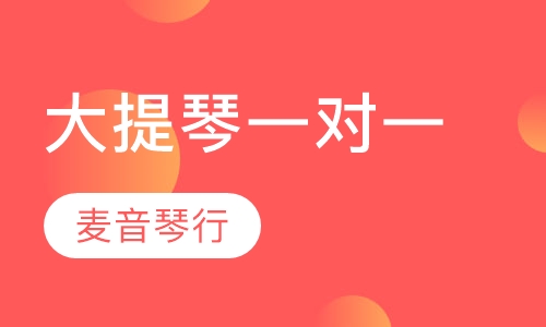 大提琴一对一