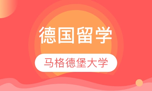 马格德堡大学
