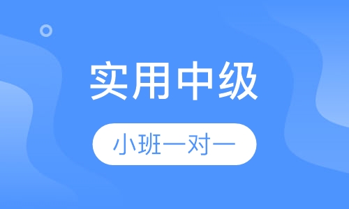 实用中级健身教练