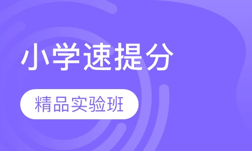 小学快速16人精品实验班