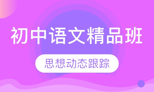 初中语文精品微班