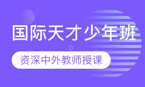Alpha国际天才少年班
