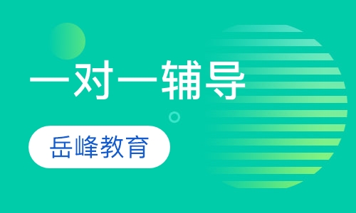 一对一辅导
