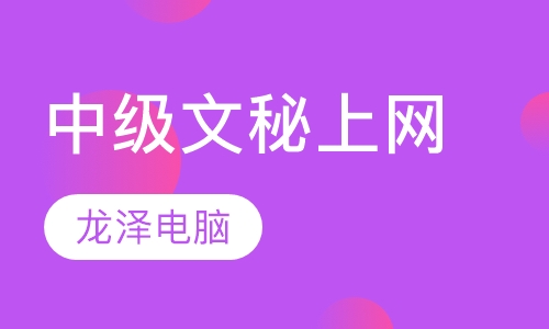 中级办公文秘上网培训
