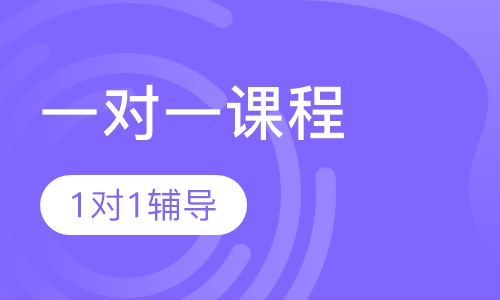 小学语文vip一对一课程