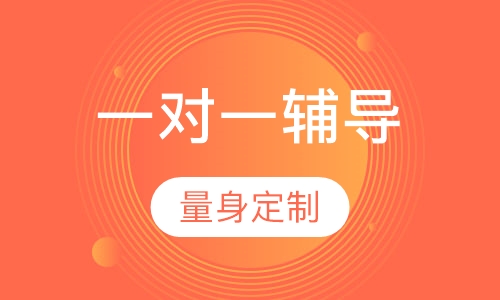 一对一辅导