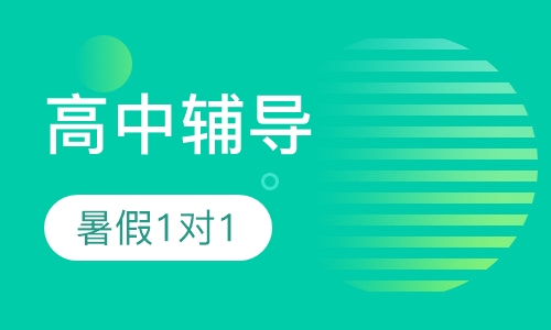 高中暑假1对1定制课程