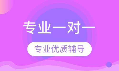 一对一专业优质辅导