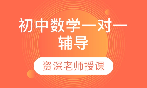 初中数学一对一辅导