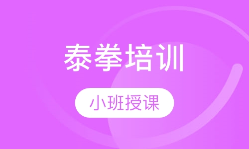 泰拳培训