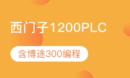 西门子300/1200PLC