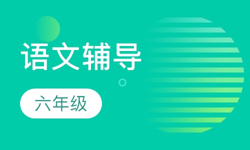 6年级语文辅导