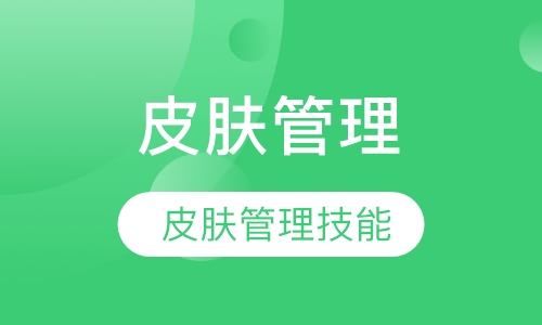 韩式皮肤管理