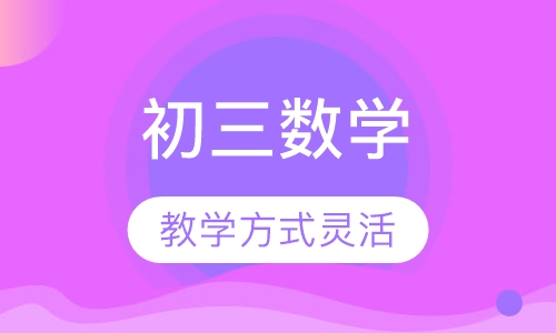 初三数学一对一辅导