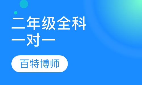 小学二年级一对一全科辅导