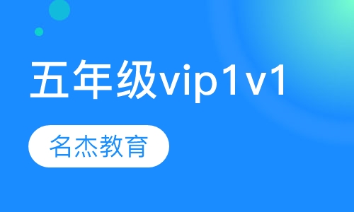 五年级vip1v1