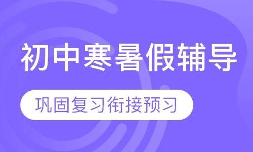 初中寒暑假辅导