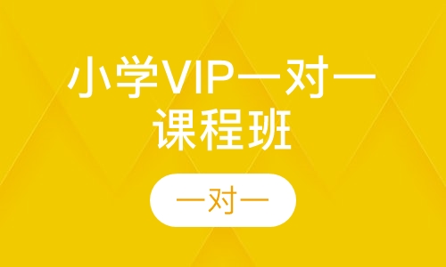 小学VIP一对一课程班