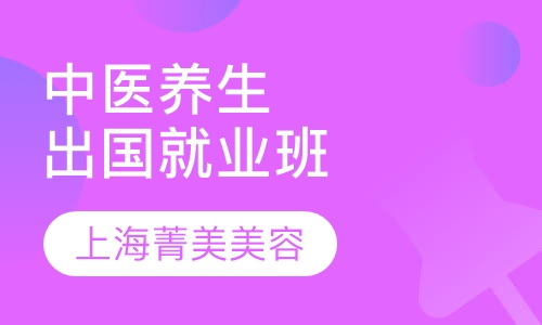 中医养生出国就业班