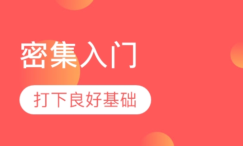 密集入门Ⅰ-2019年艾扬格瑜伽密集课程