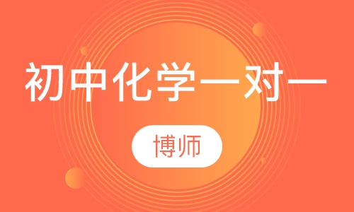 初中化学一对一