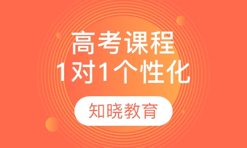 高考辅导课程 1对1个性化辅导