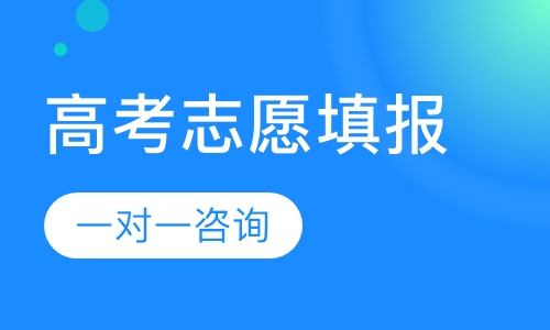高考志愿填报服务