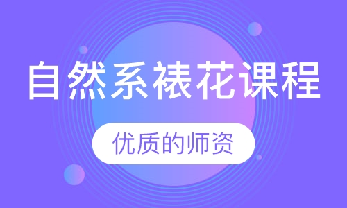自然系裱花课程