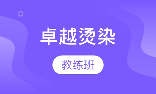 卓越烫染教练班
