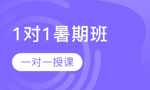 1对1暑期班课程