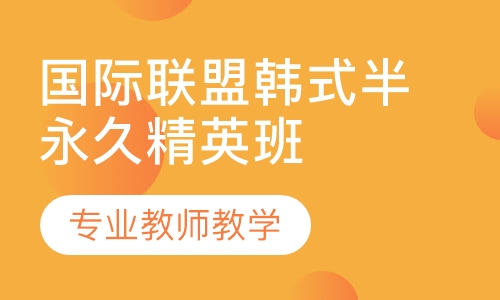国际联盟韩式半永久精英班