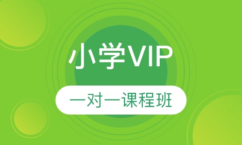 小学VIP一对一课程班
