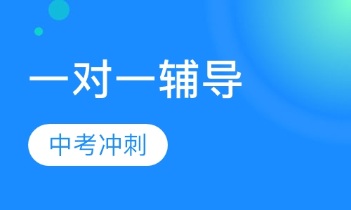 中考冲刺一对一辅导