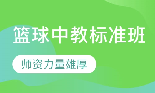 篮球中教标准班