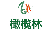 上海橄榄林文化艺术学校