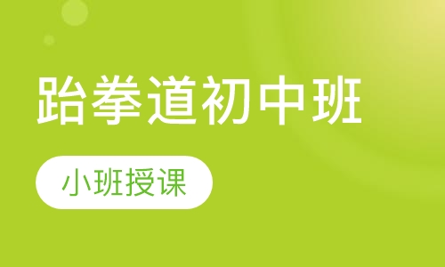 跆拳道初中班