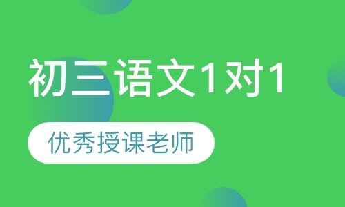 初三语文1对1辅导