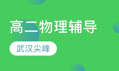 高二物理辅导