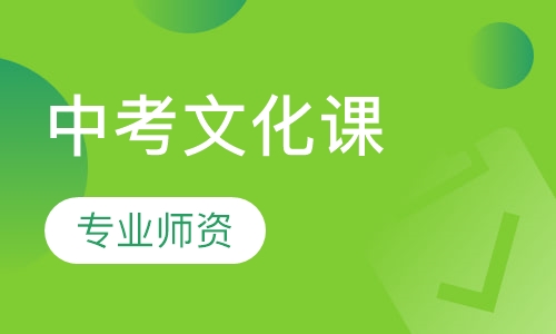 中考文化课