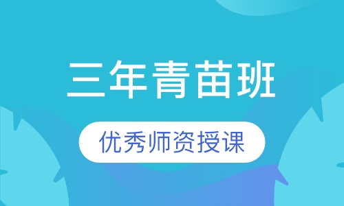 三年青苗班