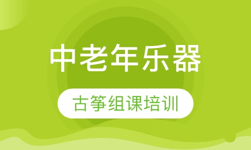 中老年古筝组课
