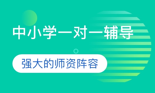 中小学一对一辅导