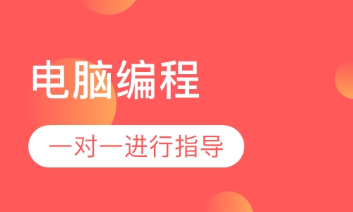 电脑编程 (CS)