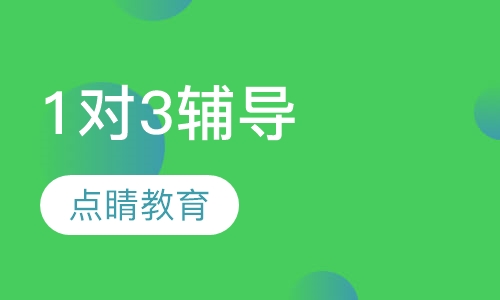 1对3辅导