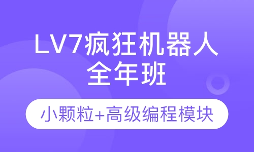 LV7疯狂机器人 全年班